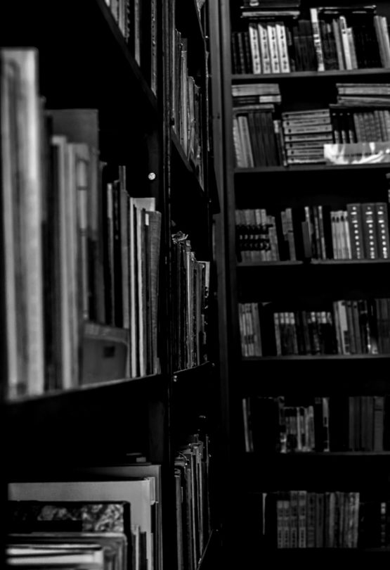 pexels-dids-5114911-scaled-blackwhite